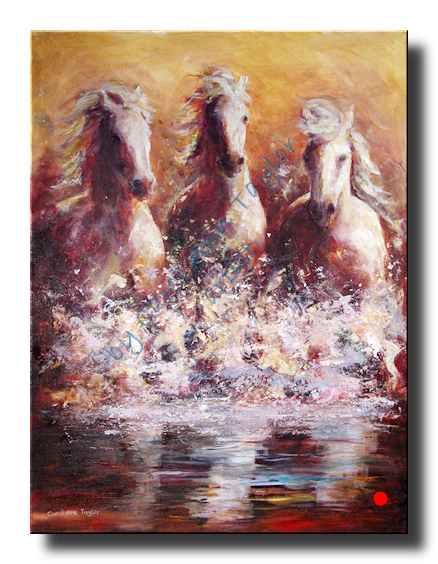 A study based on the 'Camargues' of Southern France lit by a golden setting sun.