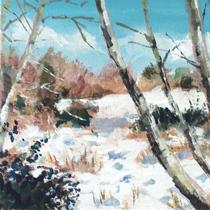 bright and crispy snow amongst the trees and grasses of Beeston Common with light blue sky background